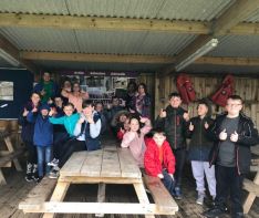 Carrowmena Residential 2018