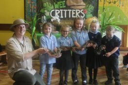 'Wee Critters' Animal Workshop