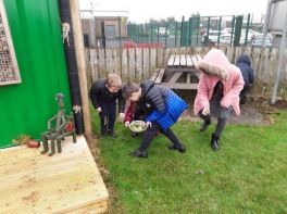 The Hodgeheg - Leaf Hedgehogs!