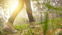 Children's Mental Health Week 2021: Wellbeing Wander