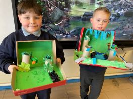 Rainforest dioramas