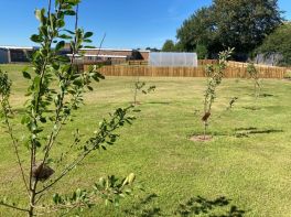 Community Garden Update