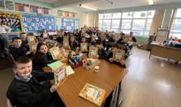 Primary 6 and 7: An introduction to government and politics 