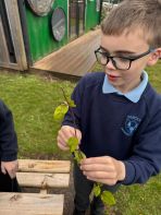 Outdoor Play with ASC2