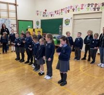 Shred Education in Primary 4