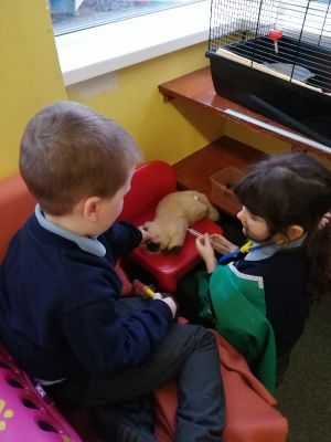 We are pretending to be vets in our Role Play area
